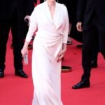 cannes-2024-los-mejores-looks