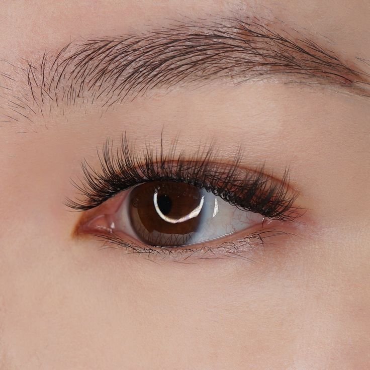 Ghost Lash