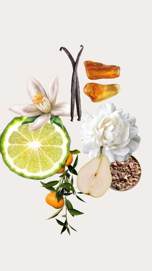Perfumes salados