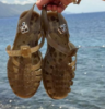 Las sandalias jelly vuelven en 2026 y prometen ser el calzado más viral del verano